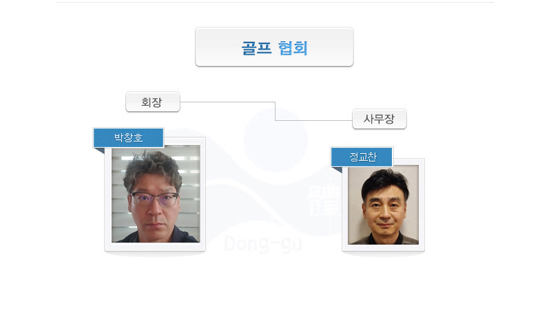 골프