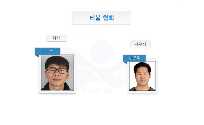 티볼